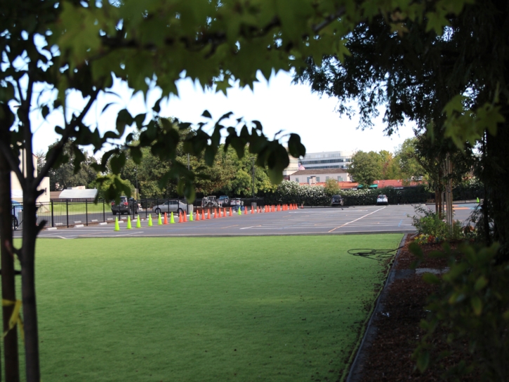 Fake Grass Carpet Turlock, California Playground Turf, Commercial Landscape