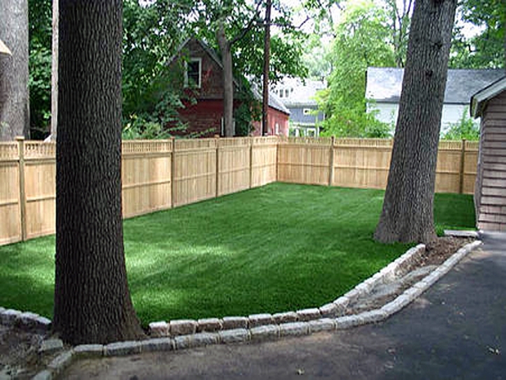 Fake Grass Carpet Waterford, California Paver Patio, Backyard Designs