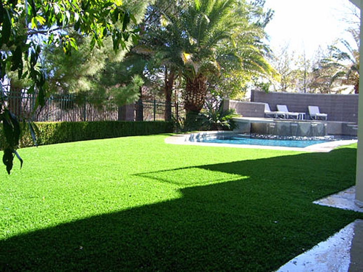 Fake Grass Grayson, California Landscaping Business, Backyard Design