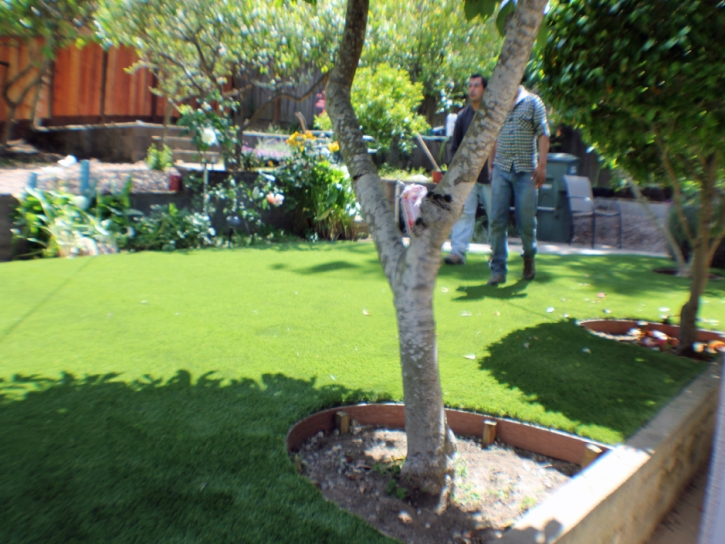 Fake Grass West Modesto, California Backyard Deck Ideas, Backyard Ideas