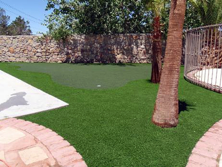 Fake Lawn Ceres, California Indoor Putting Green, Backyard Makeover
