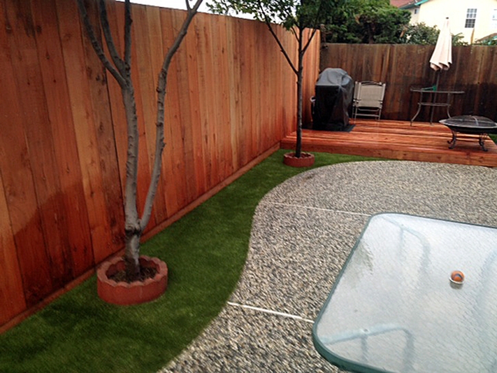 Fake Lawn Hughson, California Landscaping Business, Backyards