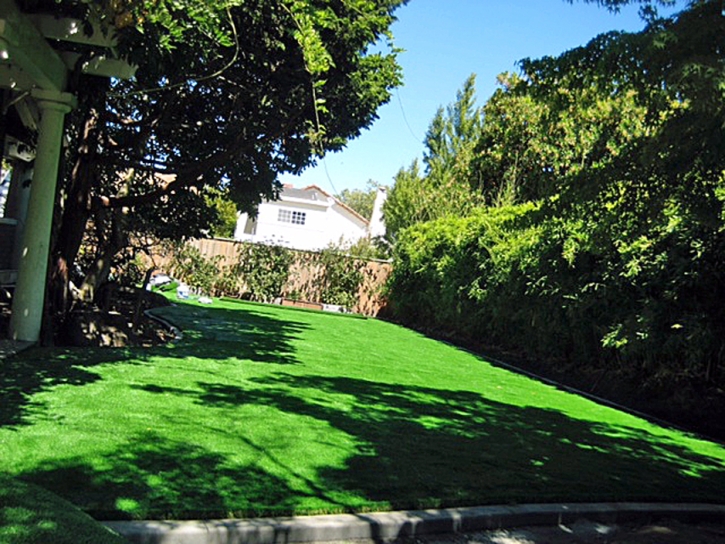 Fake Lawn Turlock, California Lawn And Landscape, Backyard Ideas