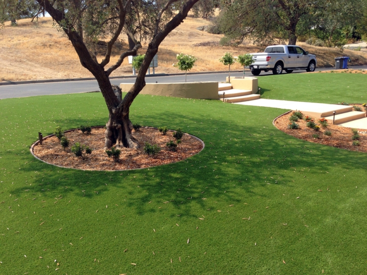 Fake Turf Crows Landing, California Gardeners, Front Yard Landscaping Ideas