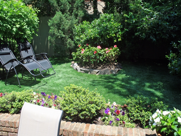 Fake Turf Grayson, California Design Ideas, Backyard Landscaping Ideas