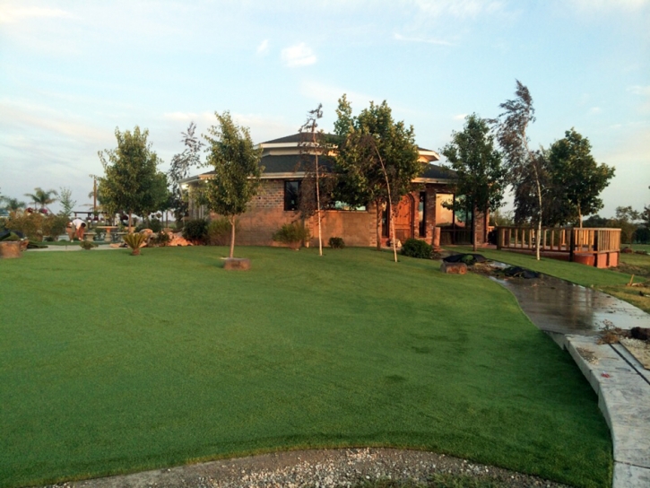 Fake Turf Riverdale Park, California Lawns, Commercial Landscape