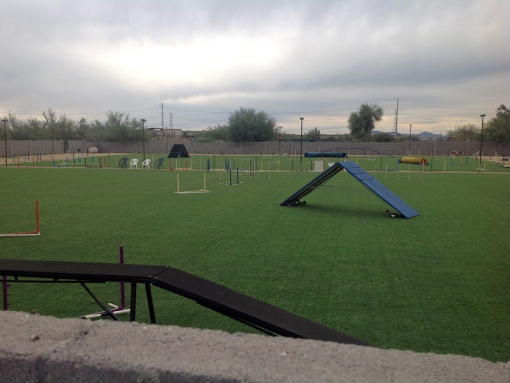 Fake Turf Valley Home, California Red Turf, Recreational Areas