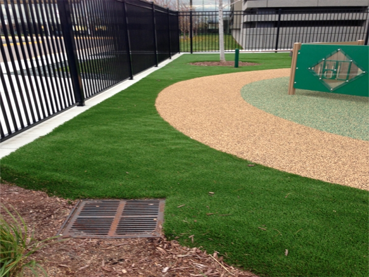 Faux Grass Oakdale, California Landscaping, Commercial Landscape