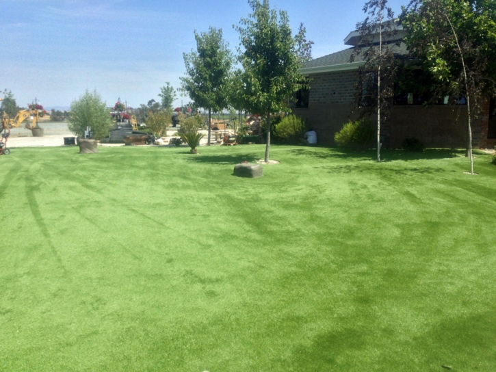 Grass Carpet Ceres, California Artificial Turf For Dogs, Recreational Areas
