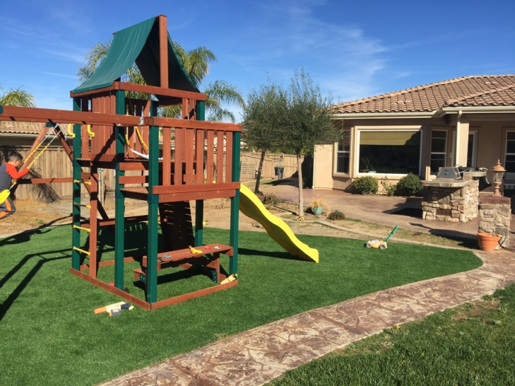 Grass Carpet Ceres, California Backyard Playground, Backyards