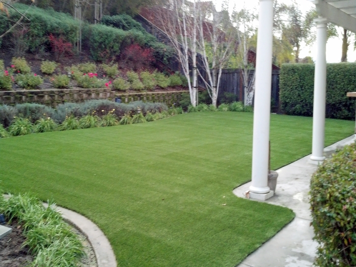 Grass Carpet Ceres, California Design Ideas, Backyard Ideas