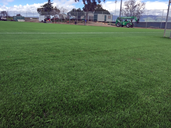 Grass Carpet Denair, California Sports Turf