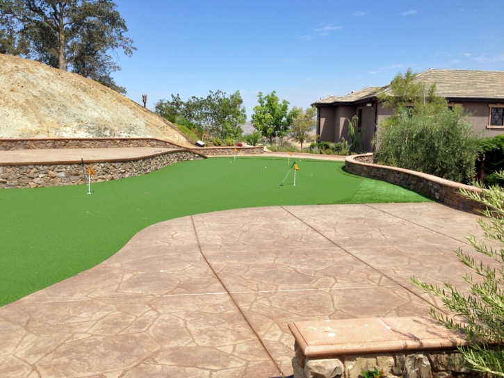 Grass Carpet Salida, California How To Build A Putting Green, Backyard Landscaping