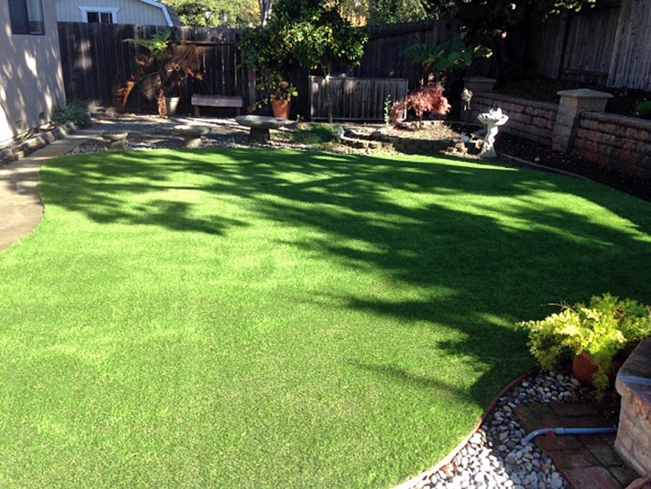 Grass Carpet West Modesto, California Pet Paradise, Beautiful Backyards