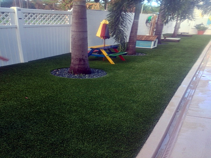 Grass Carpet Westley, California Landscape Design, Backyard Makeover