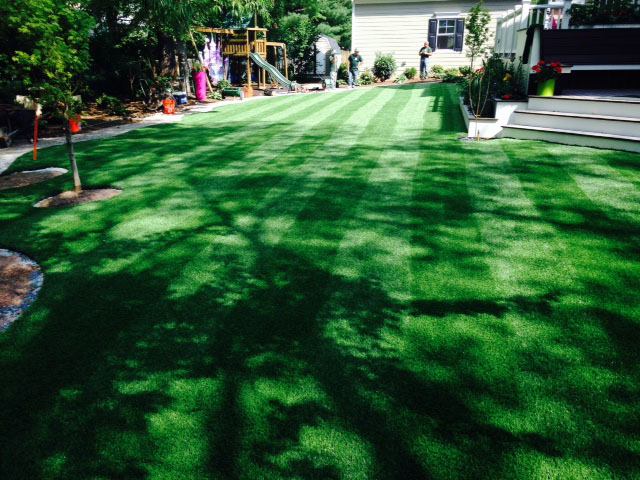 Grass Installation Keyes, California Backyard Deck Ideas, Backyards