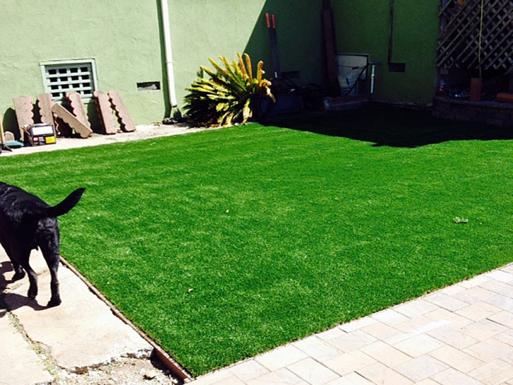 Grass Installation Modesto, California Landscape Design, Backyards