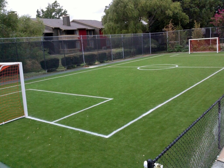 Grass Turf Bret Harte, California Softball, Commercial Landscape