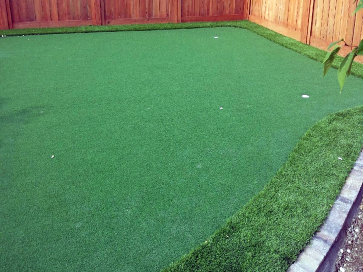 Grass Turf Ceres, California Lawn And Garden, Backyards