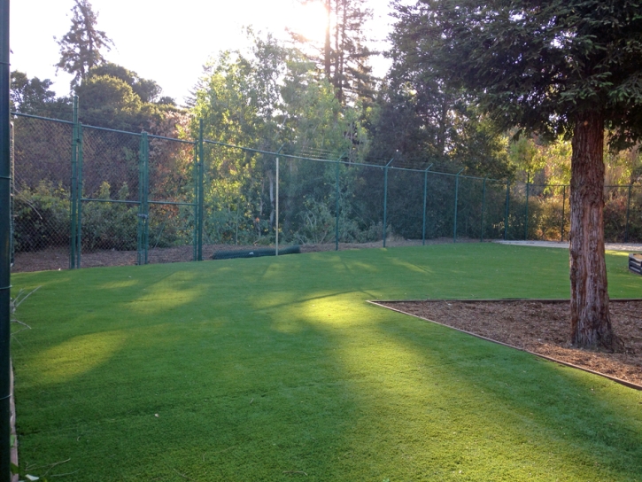 Grass Turf Crows Landing, California Landscaping, Recreational Areas