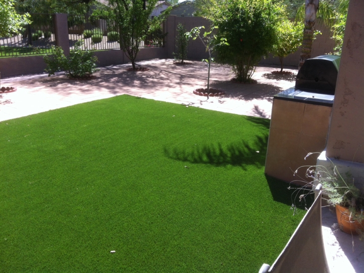 Grass Turf Denair, California Grass For Dogs, Backyard