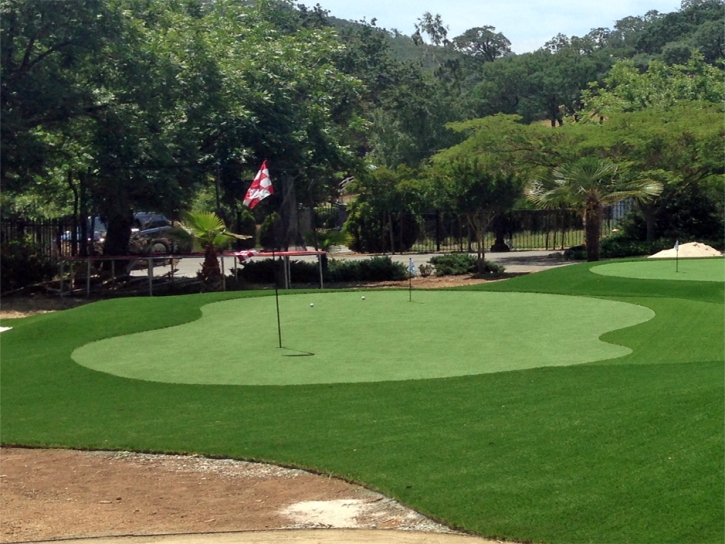 Grass Turf Denair, California Putting Green Flags, Front Yard Ideas