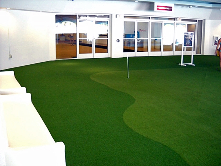 Grass Turf Patterson, California Diy Putting Green, Commercial Landscape