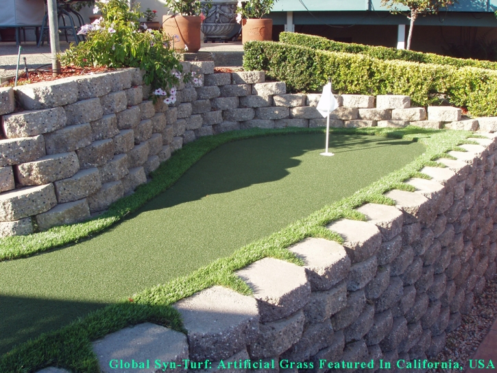 Grass Turf Riverdale Park, California Gardeners, Backyard Ideas