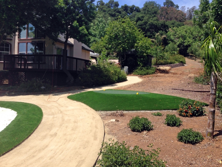 Grass Turf Waterford, California Landscape Design, Landscaping Ideas For Front Yard