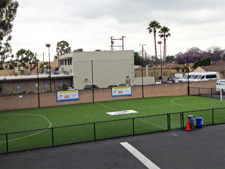 Grass Turf Westley, California Stadium, Commercial Landscape