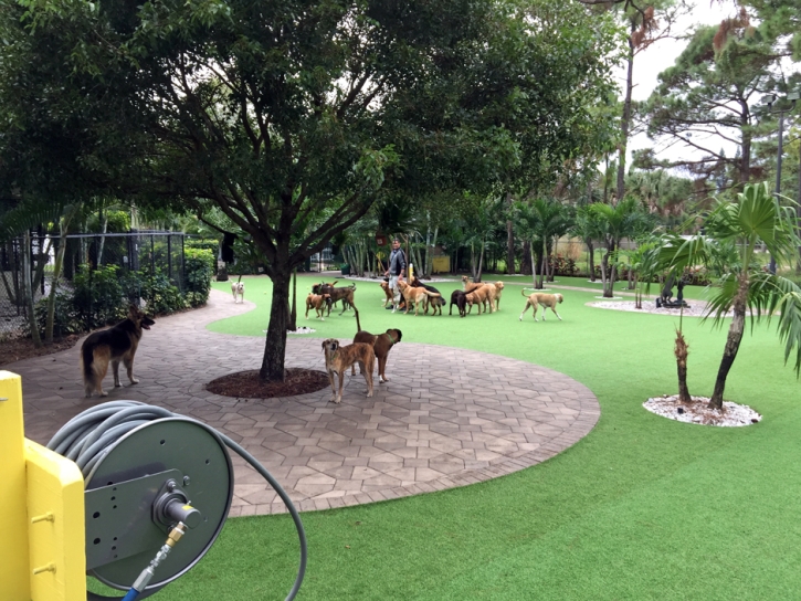 Green Lawn Empire, California Backyard Deck Ideas, Commercial Landscape