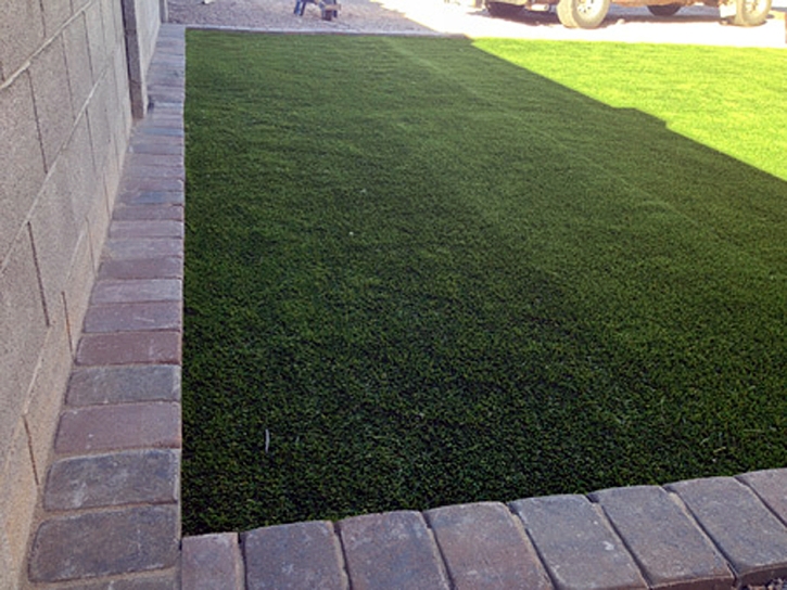 Green Lawn Riverdale Park, California Lawns, Front Yard Design