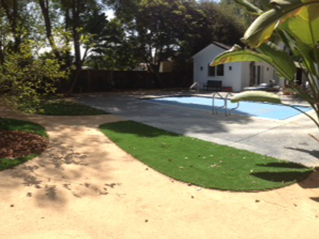 Green Lawn Westley, California Landscape Photos, Backyard Garden Ideas