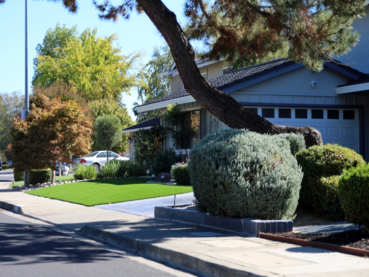 How To Install Artificial Grass Turlock, California Gardeners, Front Yard Landscape Ideas