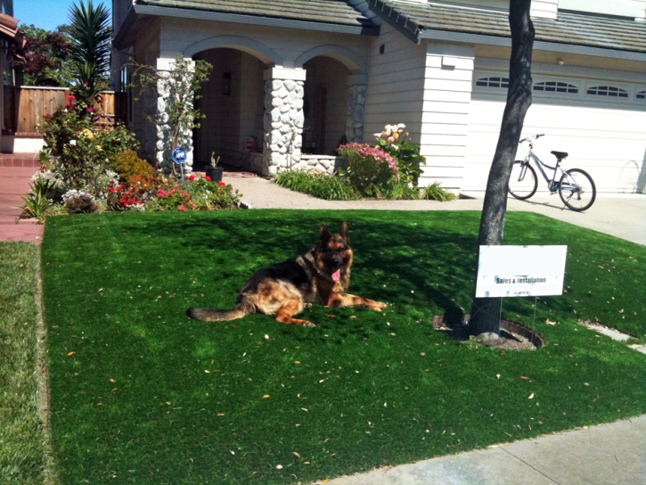 How To Install Artificial Grass Valley Home, California Landscape Photos, Front Yard Landscaping