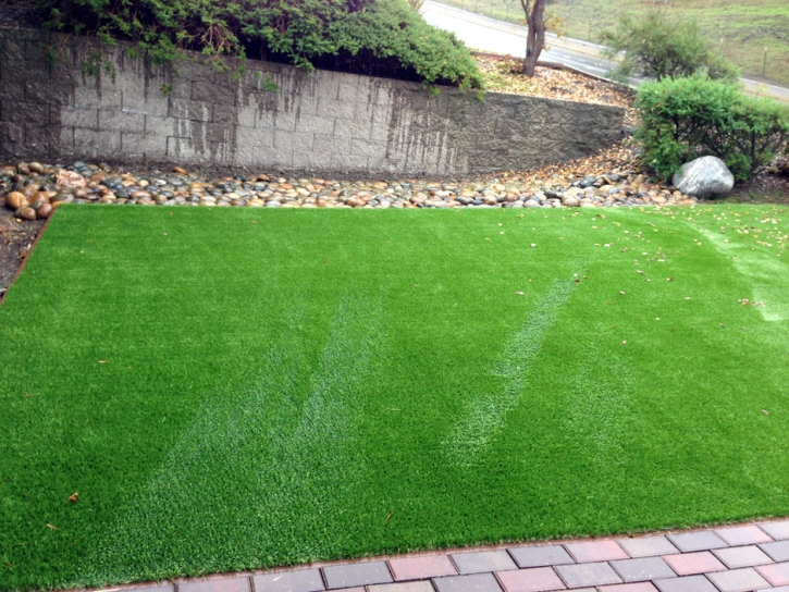 Installing Artificial Grass Hughson, California Dog Run, Backyard Landscaping