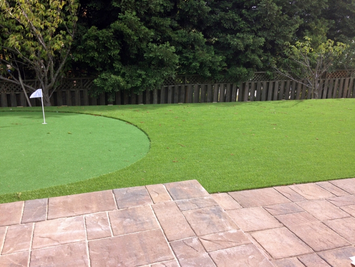 Installing Artificial Grass Riverbank, California Landscape Photos, Backyard Landscape Ideas