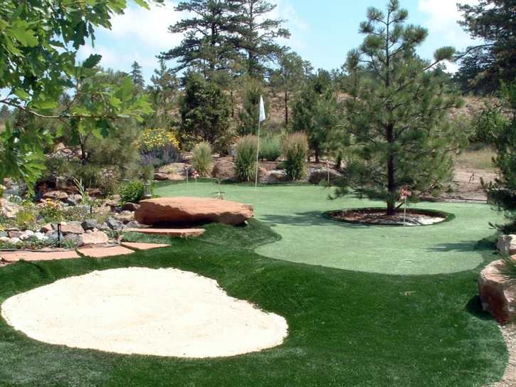 Lawn Services Newman, California Putting Green Turf, Small Backyard Ideas