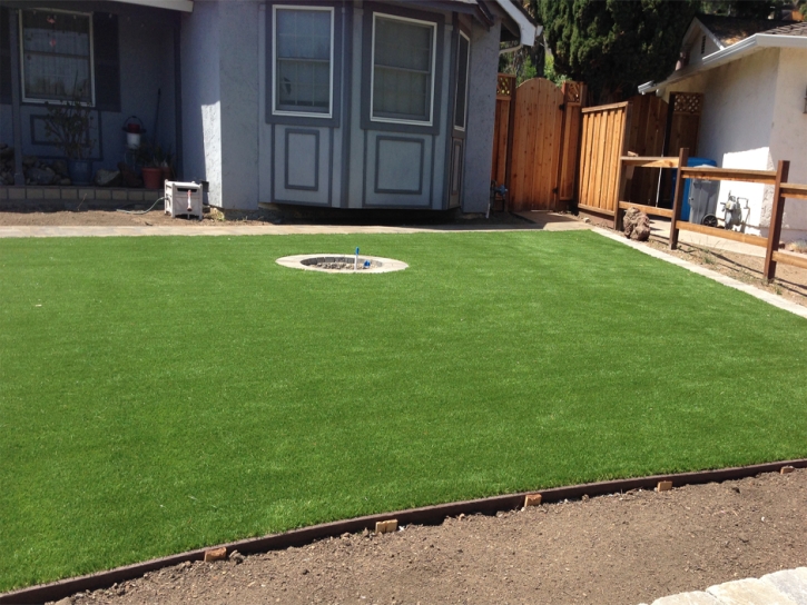 Outdoor Carpet Crows Landing, California Design Ideas, Backyard Landscape Ideas