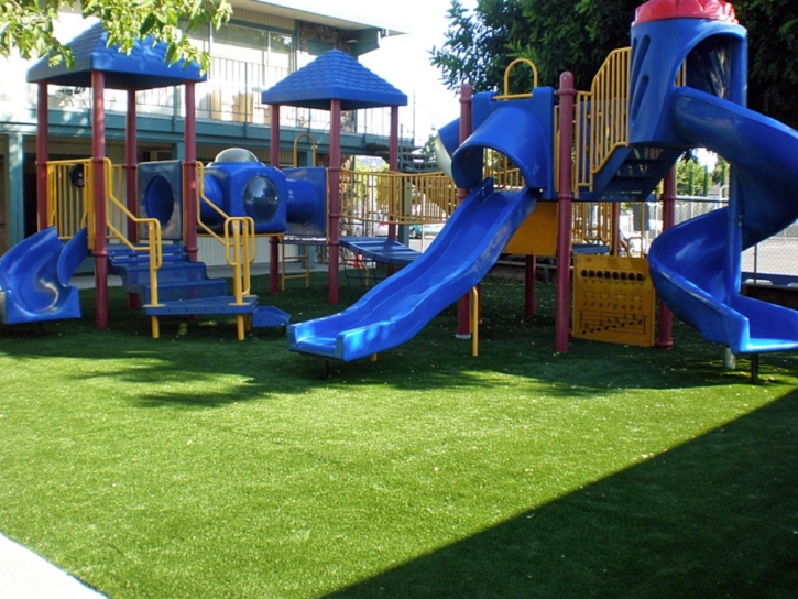 Outdoor Carpet Denair, California Rooftop, Commercial Landscape