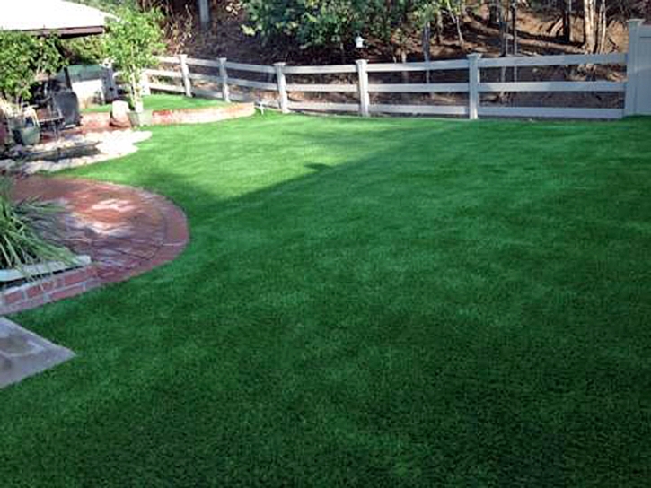 Outdoor Carpet Hickman, California Watch Dogs, Small Backyard Ideas