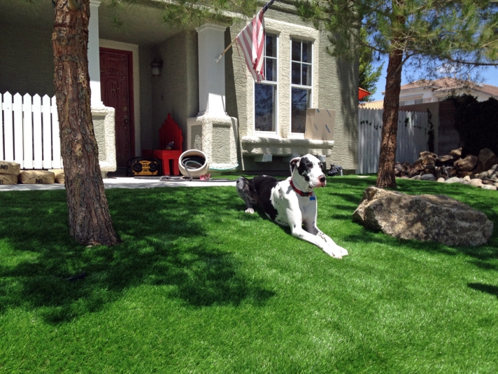 Outdoor Carpet Salida, California Landscape Ideas, Dogs Park
