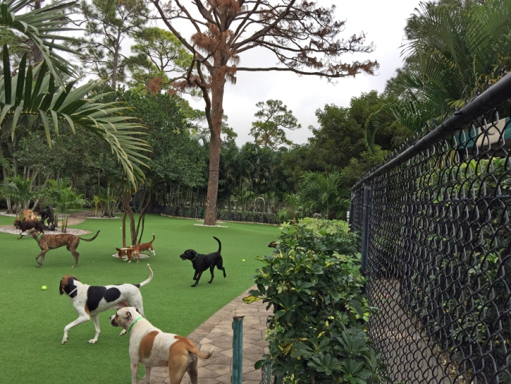 Outdoor Carpet Turlock, California Backyard Playground, Commercial Landscape