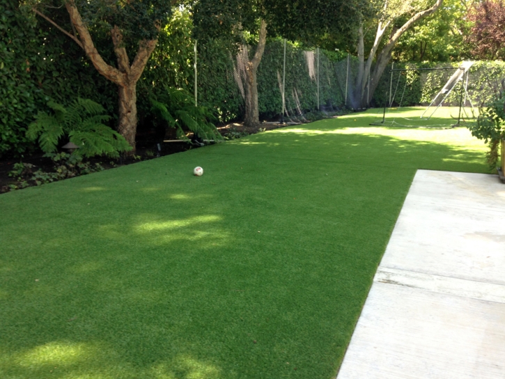 Plastic Grass Bret Harte, California Landscape Ideas