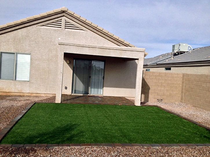 Plastic Grass Keyes, California Dog Hospital, Backyard Makeover