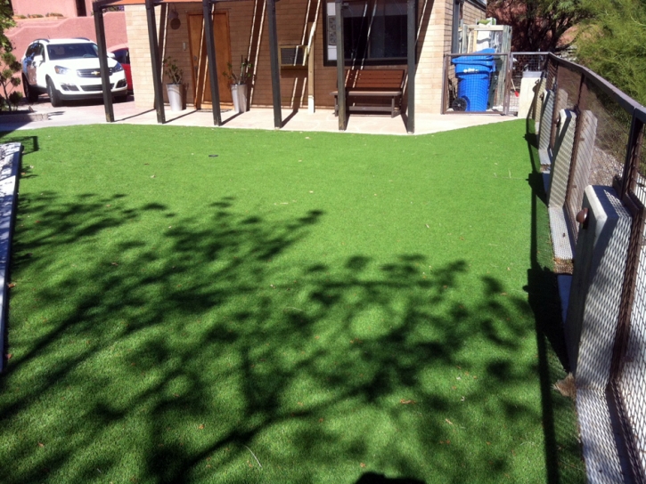 Plastic Grass Riverdale Park, California Garden Ideas, Backyard Design