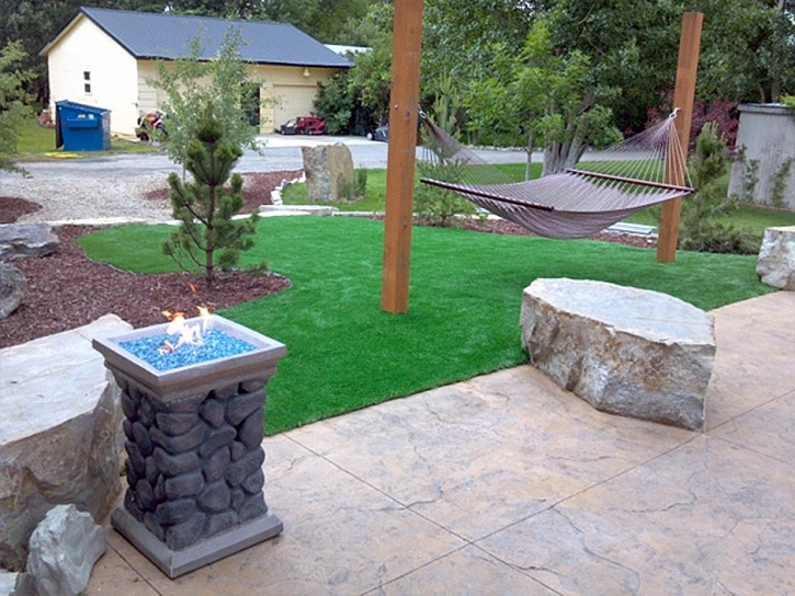 Plastic Grass Shackelford, California Roof Top, Small Front Yard Landscaping