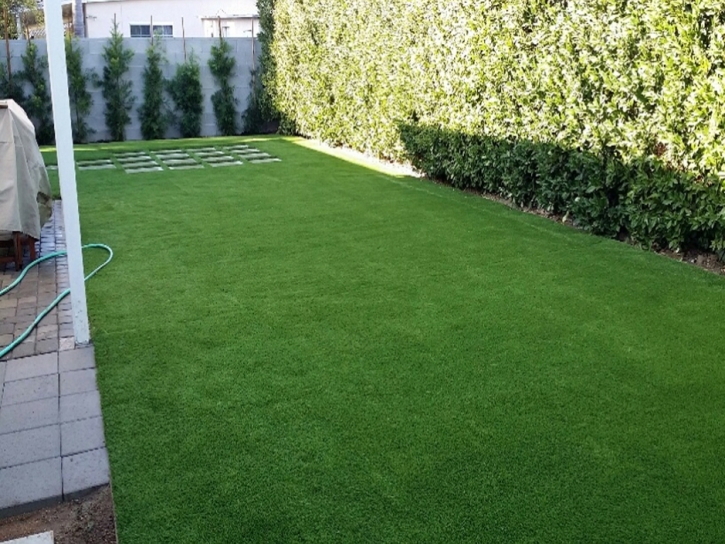 Synthetic Grass Cost Empire, California Pet Grass, Backyard Ideas