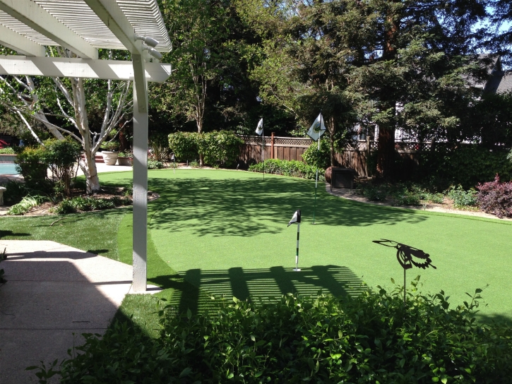 Synthetic Grass Grayson, California Landscaping