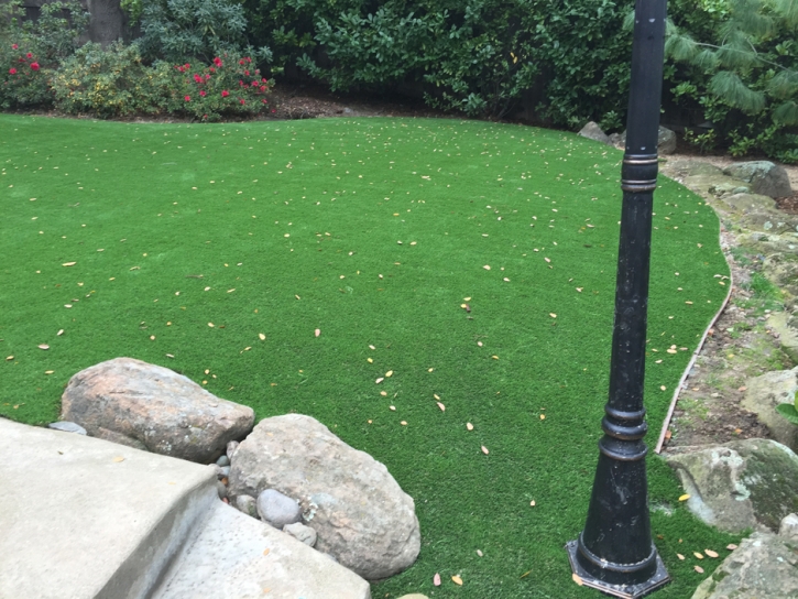 Synthetic Grass Riverdale Park, California Landscape Photos, Beautiful Backyards